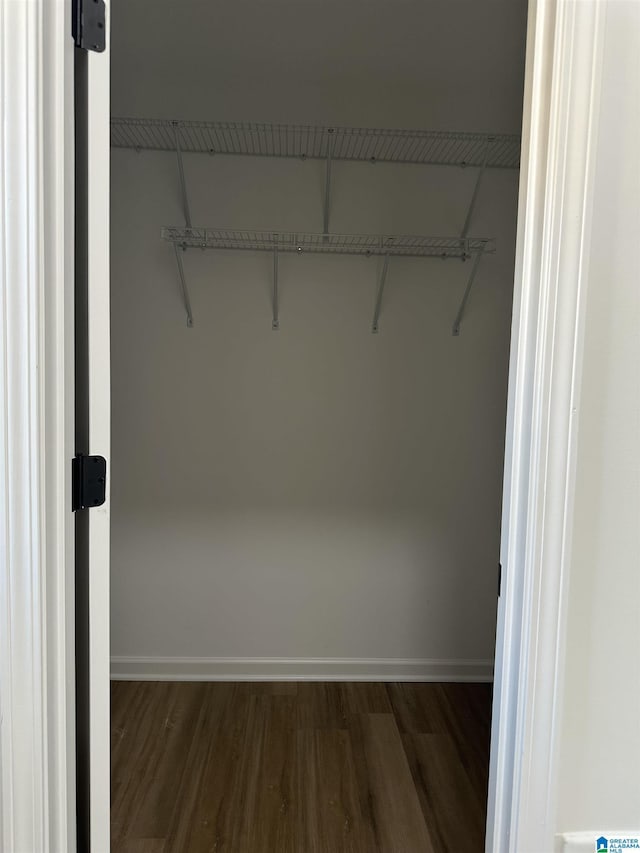 spacious closet featuring wood finished floors