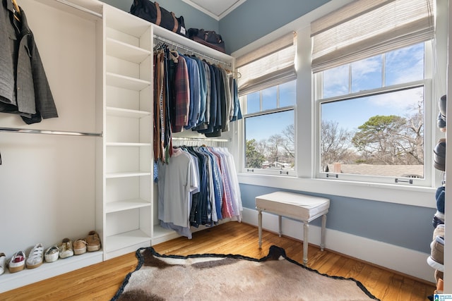 spacious closet featuring wood finished floors