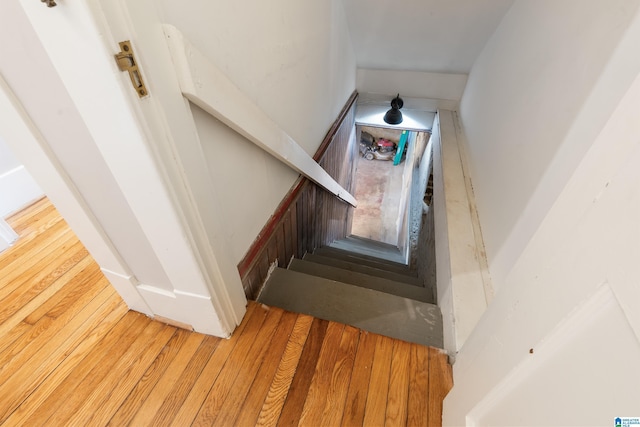 stairs featuring wood finished floors