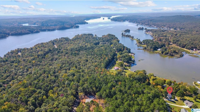 birds eye view of property with a water view and a view of trees