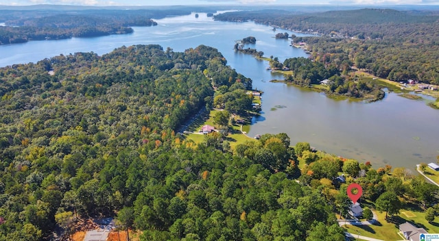 bird's eye view featuring a water view and a forest view