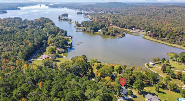 drone / aerial view featuring a water view and a wooded view