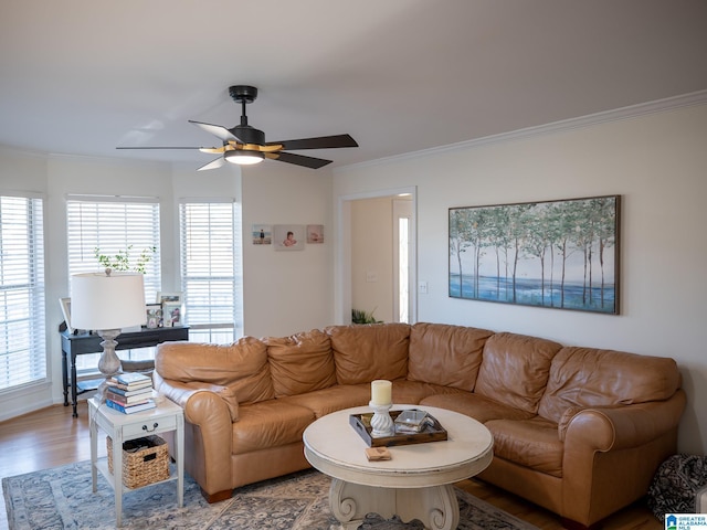 living room with a ceiling fan, crown molding, and light wood-style flooring