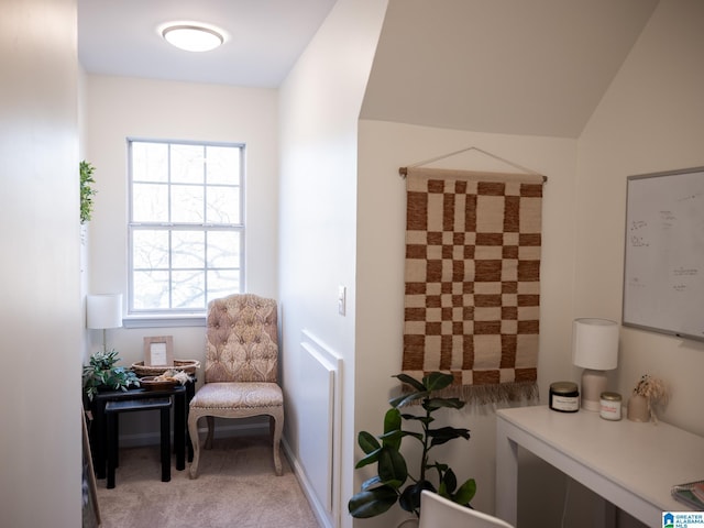 interior space featuring light carpet