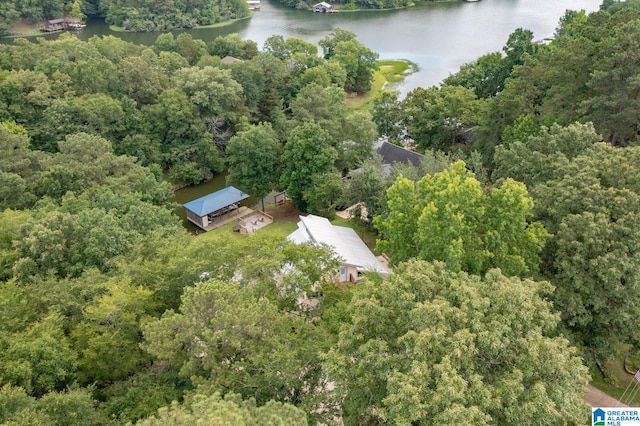 aerial view featuring a water view and a forest view