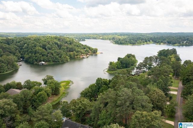 aerial view featuring a water view and a view of trees