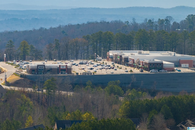 view of mountain feature featuring a wooded view