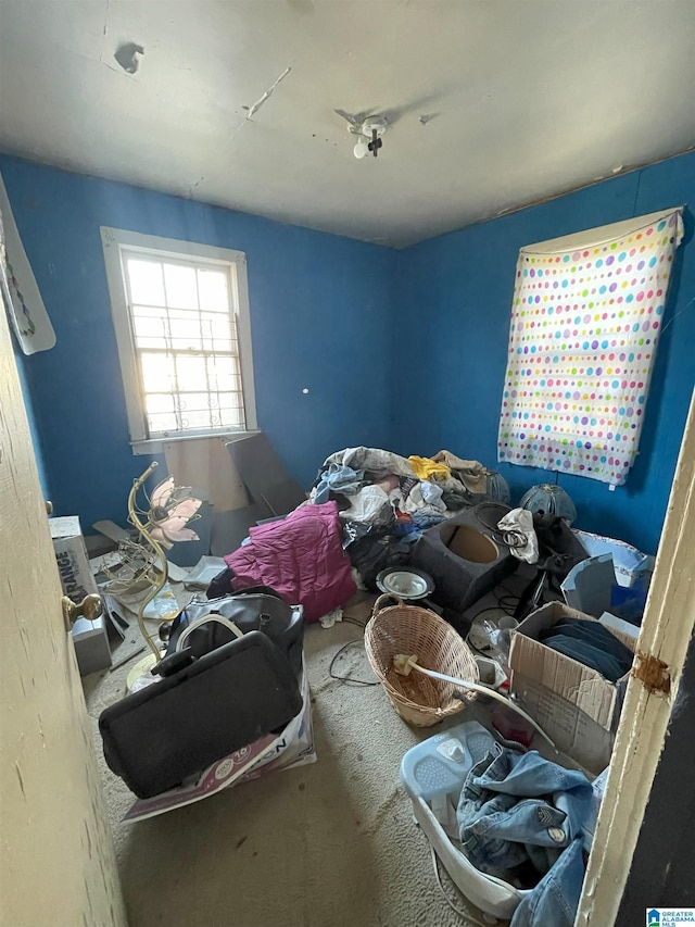 bedroom featuring carpet flooring