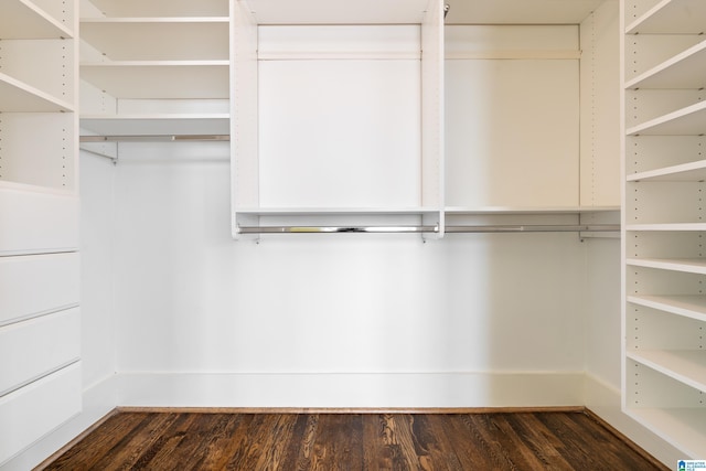 walk in closet featuring dark wood-style flooring