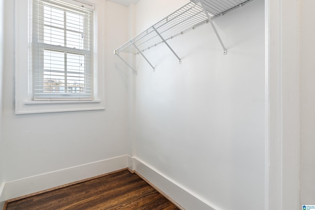 spacious closet featuring dark wood-style flooring