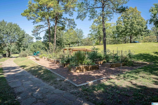 view of yard featuring a vegetable garden and a pergola