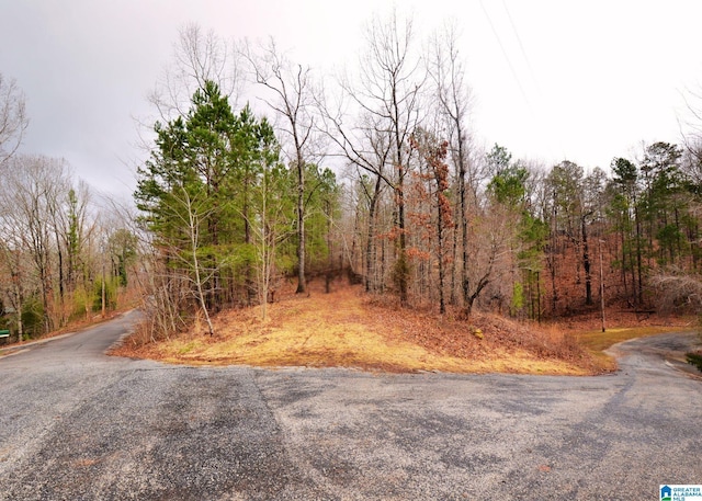 LOT20 Oak Hills Dr Unit 20, Wedowee AL, 36278 land for sale