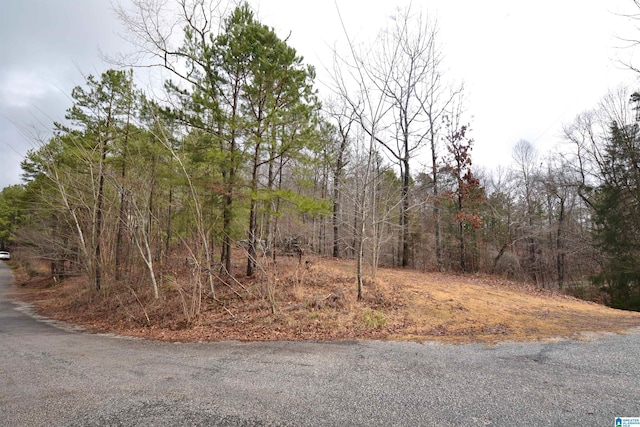 Listing photo 2 for LOT20 Oak Hills Dr Unit 20, Wedowee AL 36278