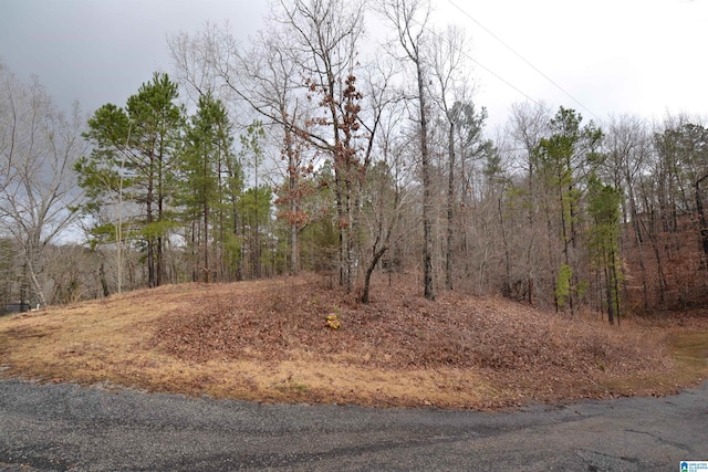 Listing photo 3 for LOT20 Oak Hills Dr Unit 20, Wedowee AL 36278