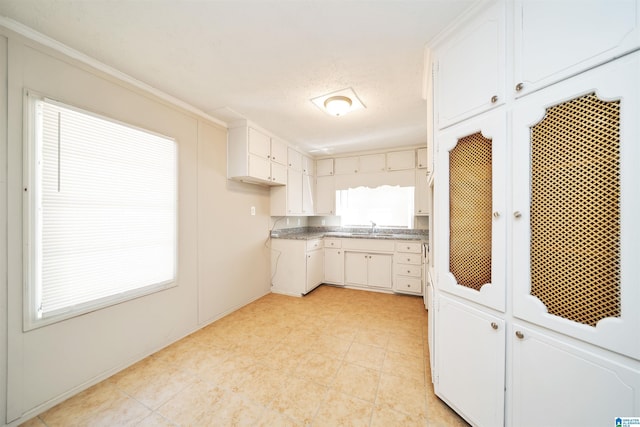 kitchen with white cabinetry and a sink