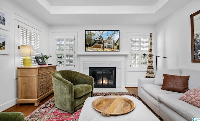 living area with a high end fireplace, a healthy amount of sunlight, a tray ceiling, and wood finished floors