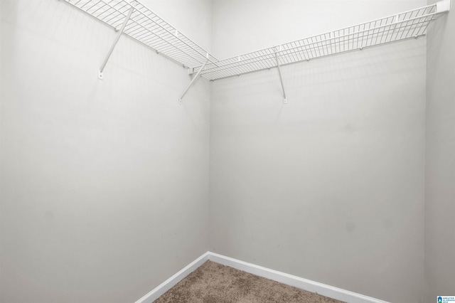 walk in closet with carpet