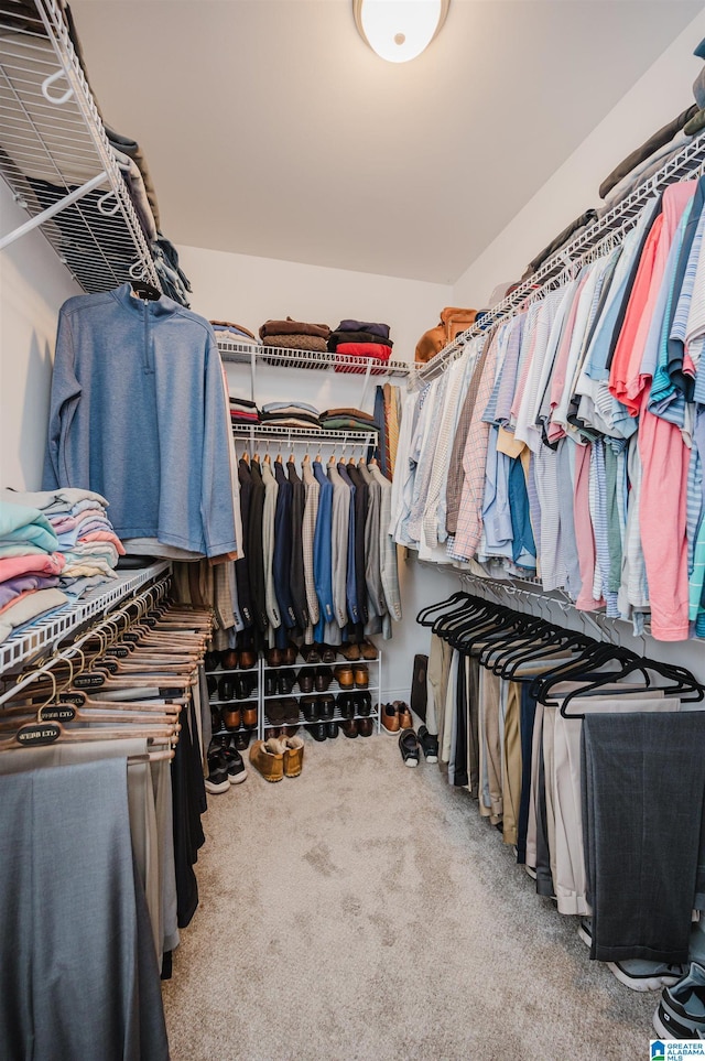 walk in closet featuring carpet