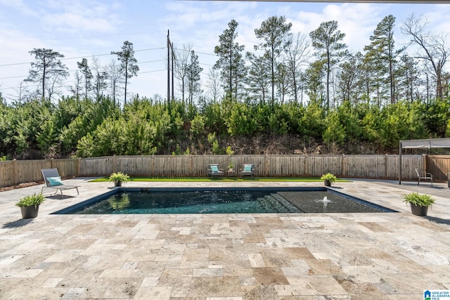 view of pool featuring a patio area, a fenced backyard, and a fenced in pool