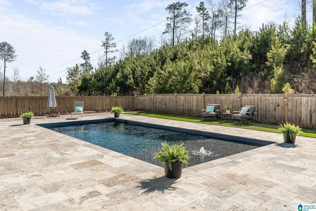 view of swimming pool with a patio area, a fenced backyard, and a fenced in pool