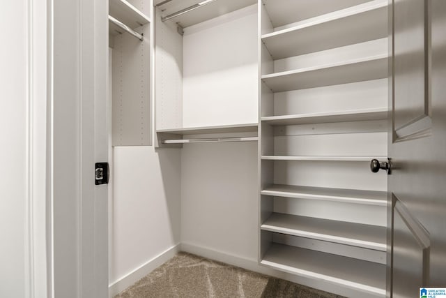 spacious closet with carpet floors