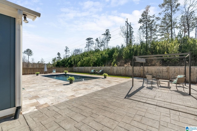 view of swimming pool with a fenced backyard, a fenced in pool, and a patio