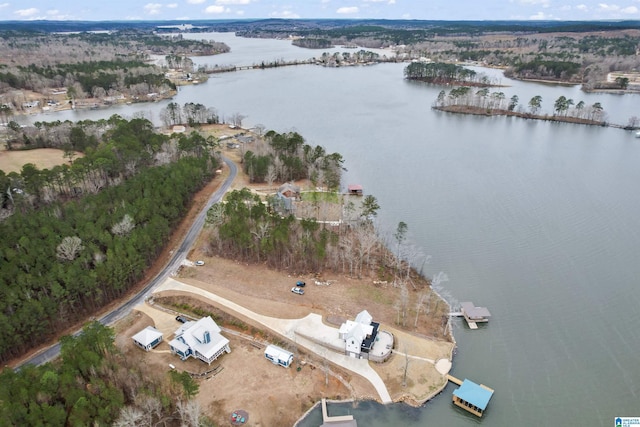 1165 Cedar Creek Dr, Sylacauga, AL 35151 - aerial view with a water view