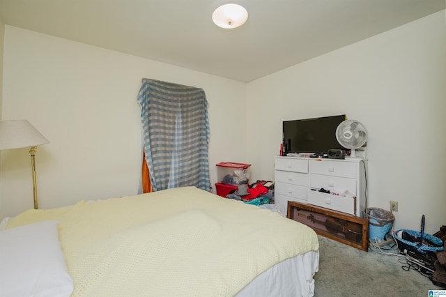 bedroom with carpet flooring