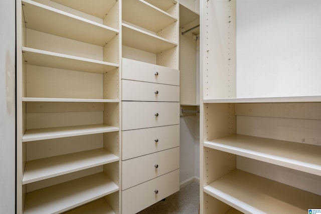 view of spacious closet