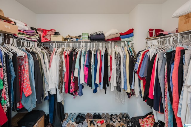 view of spacious closet