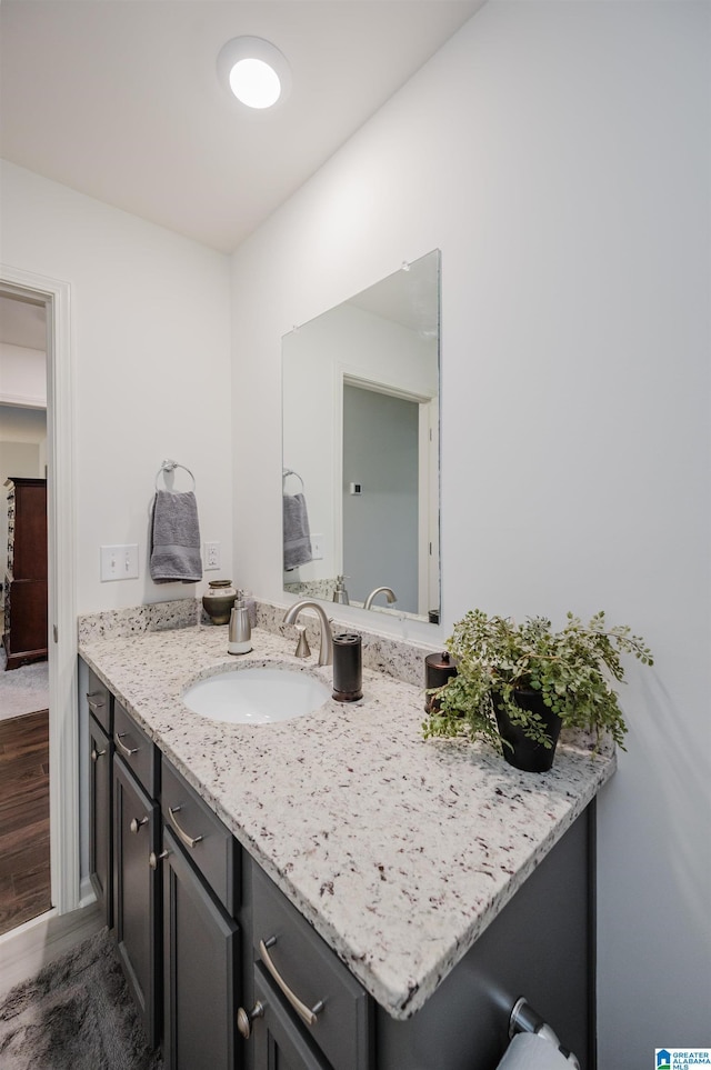 bathroom featuring wood finished floors and vanity