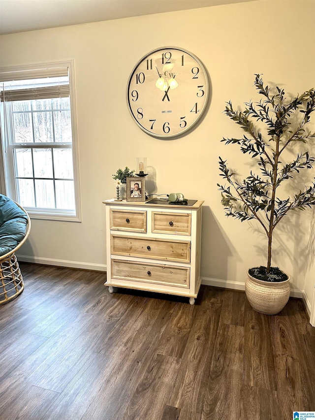 interior space with baseboards and dark wood-style flooring