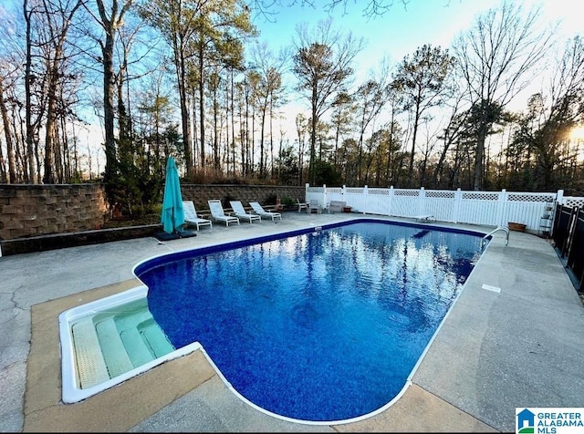 view of pool featuring a fenced in pool, a patio area, and a fenced backyard