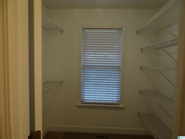 view of walk in closet