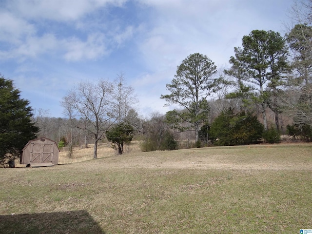 view of yard featuring a shed and an outbuilding