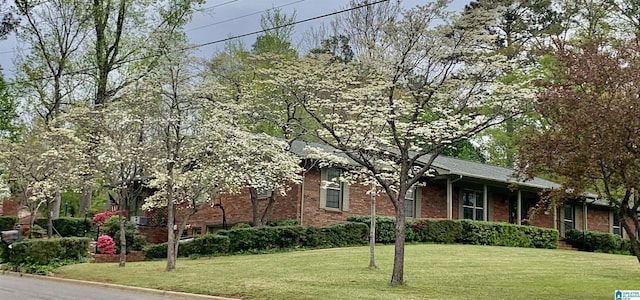 view of front of property featuring brick siding and a front yard
