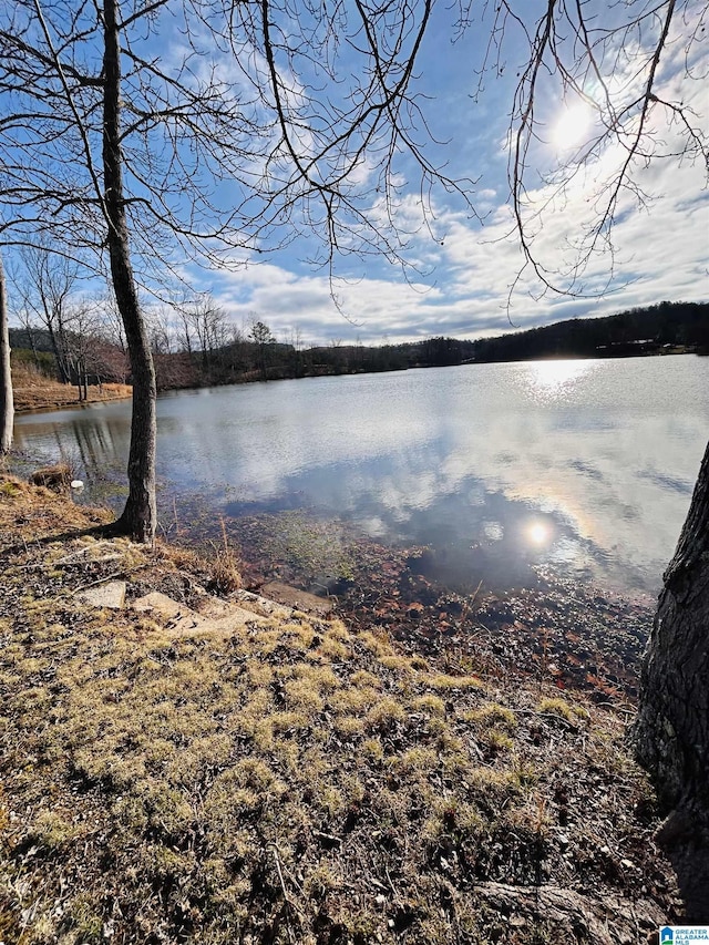 view of water feature