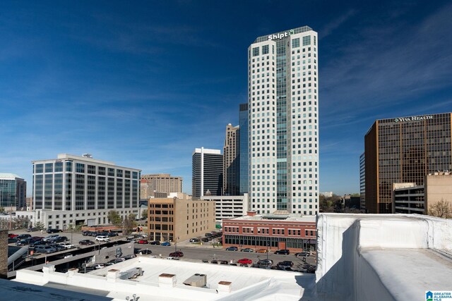 300 20th Ave N Unit 204, Birmingham, AL 35203 - property's view of city