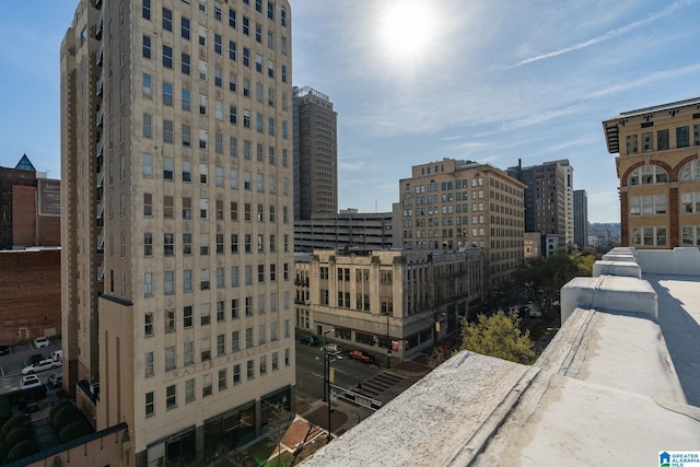 300 20th Ave N Unit 204, Birmingham, AL 35203 - property's view of city