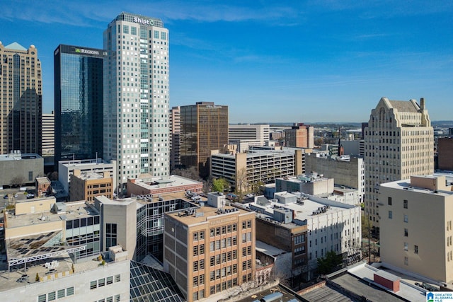 300 20th Ave N Unit 204, Birmingham, AL 35203 - view of city