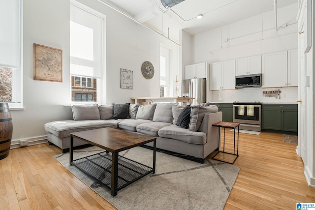 300 20th Ave N Unit 204, Birmingham, AL 35203 - living area with light wood-style flooring, baseboards, and a towering ceiling