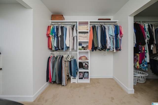 spacious closet with carpet flooring