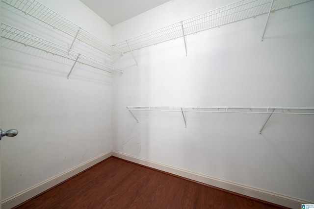 spacious closet with wood finished floors