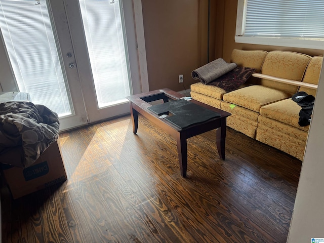 living room with wood finished floors