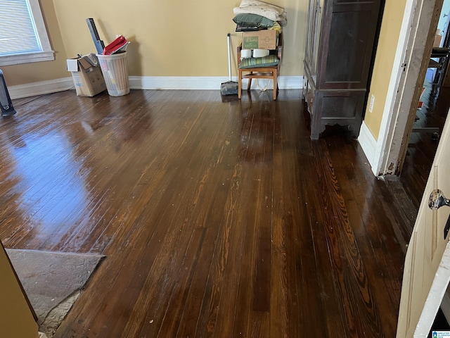 interior details featuring baseboards and wood finished floors