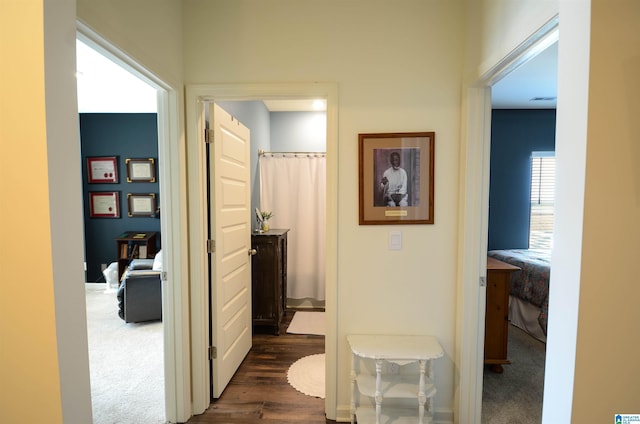 hallway with dark wood-style flooring