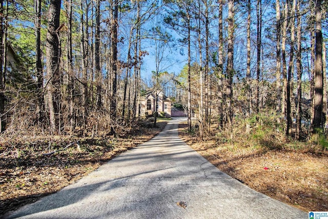 view of street featuring aphalt driveway