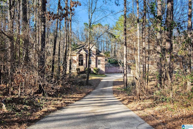 view of street featuring driveway