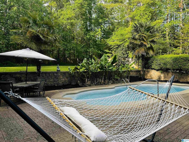 view of swimming pool with a patio area and a fenced in pool