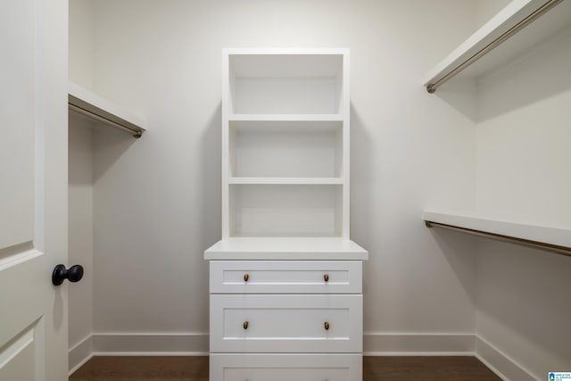 spacious closet featuring dark wood finished floors